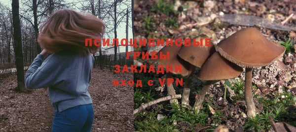 ешки Алзамай