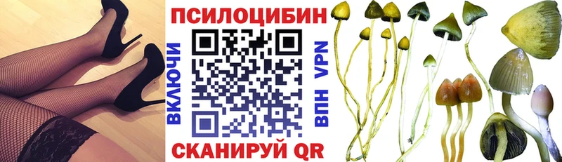 где купить наркоту  Алапаевск  Галлюциногенные грибы GOLDEN TEACHER 